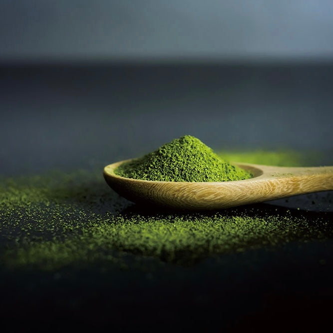 Matcha Orgánico Supremo